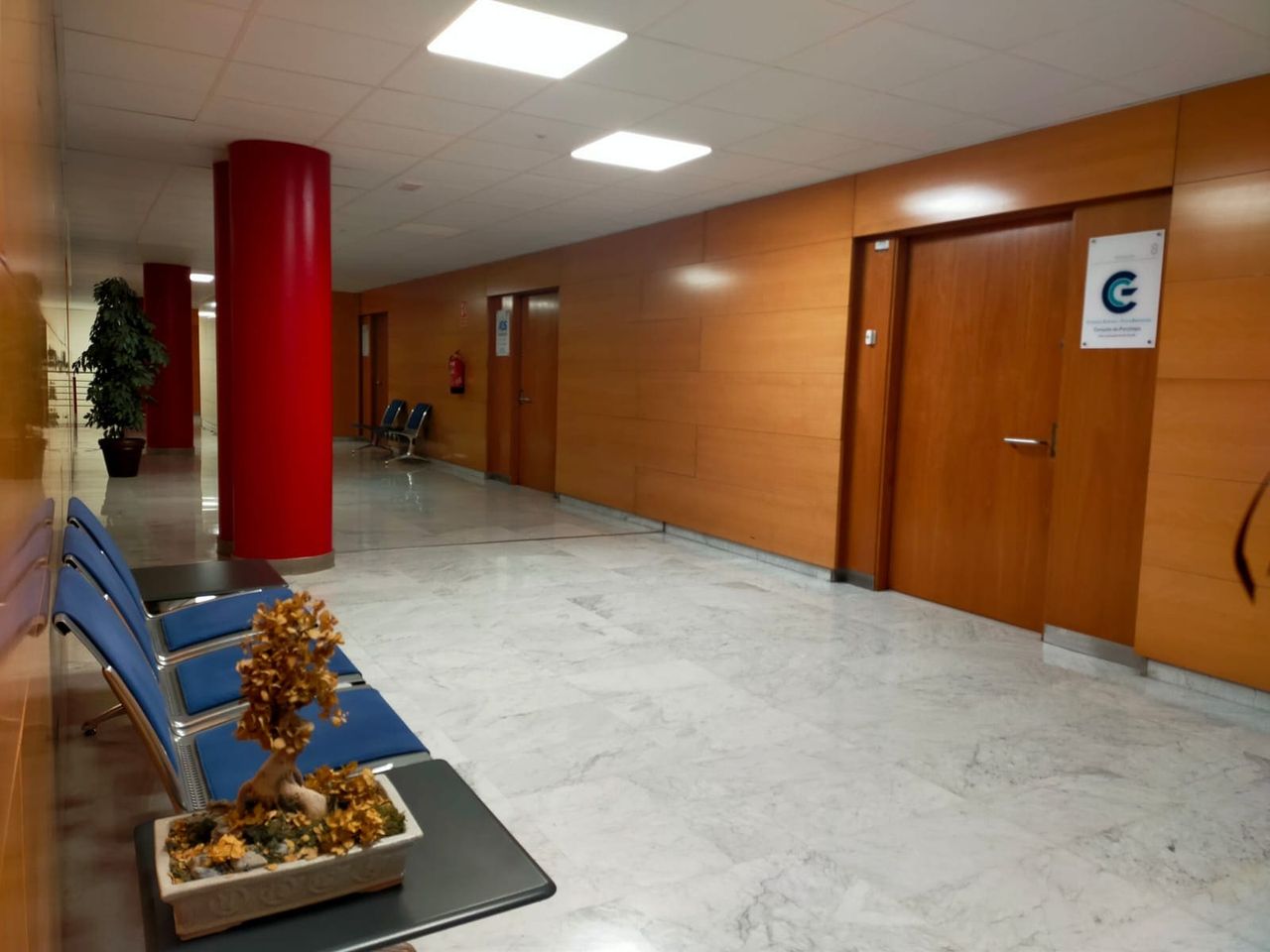 Cristina Gómez Lozano-5