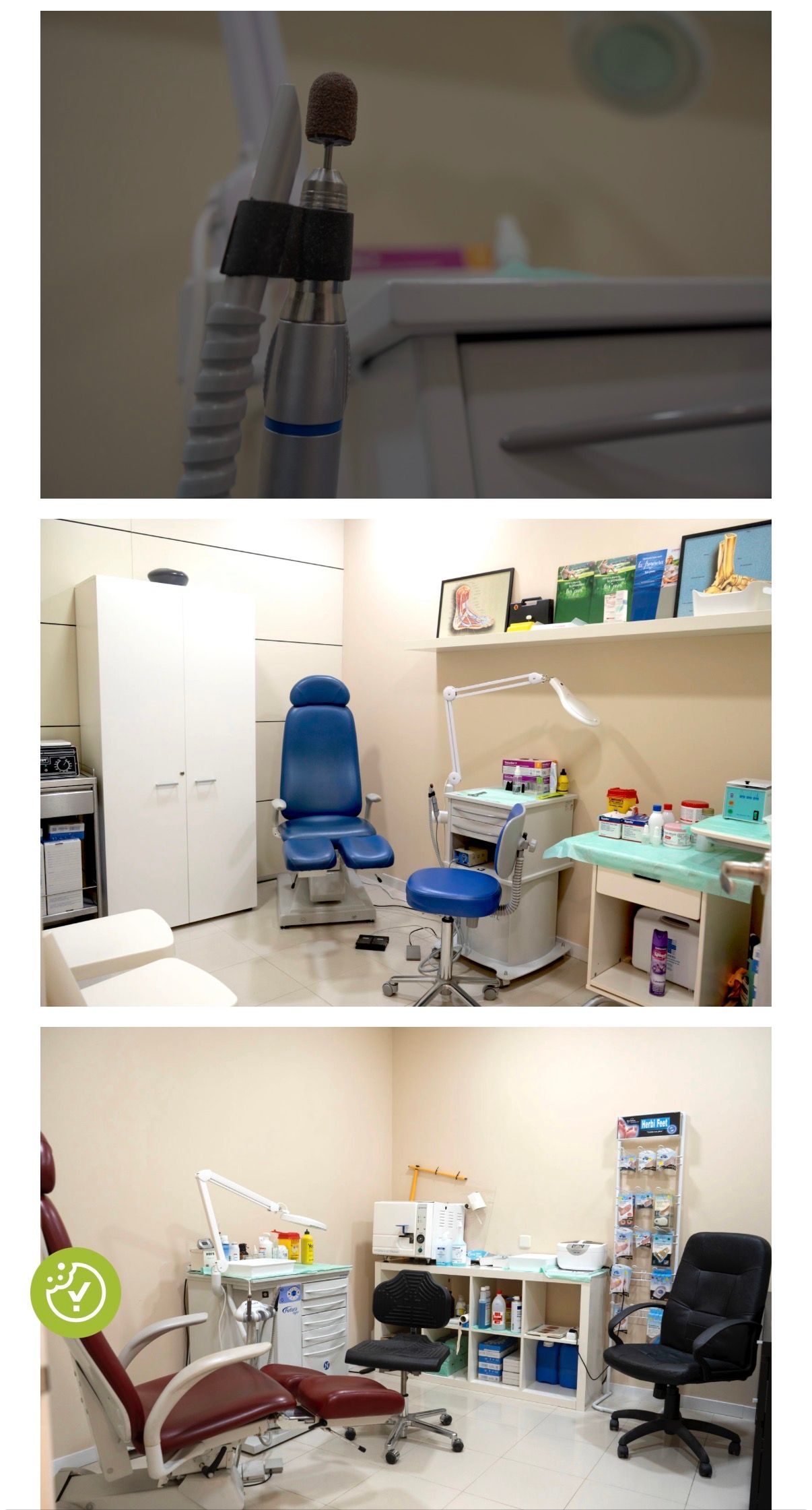 Desirée Rivera Pérez-4