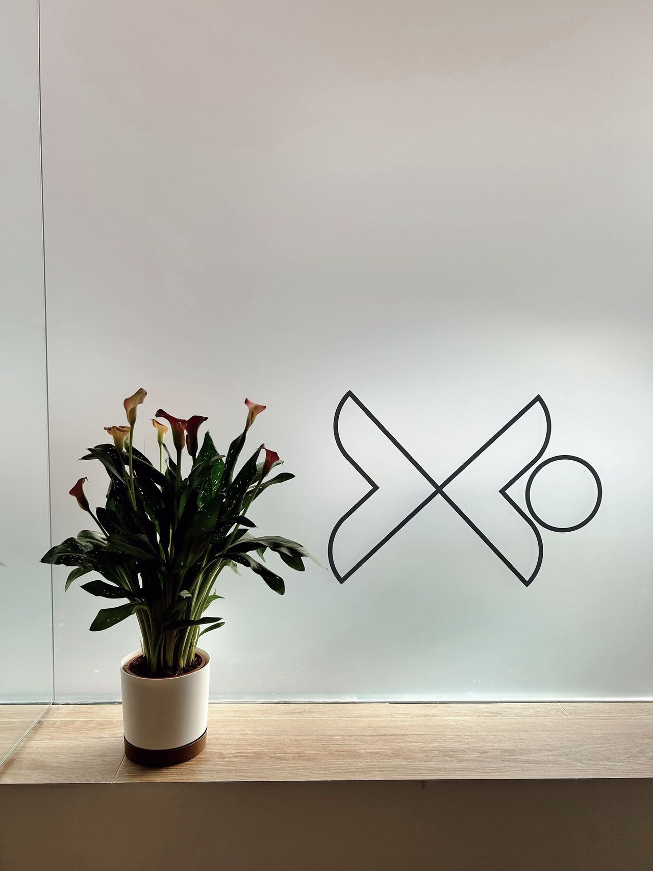 Isabel Rodríguez Álvarez-2