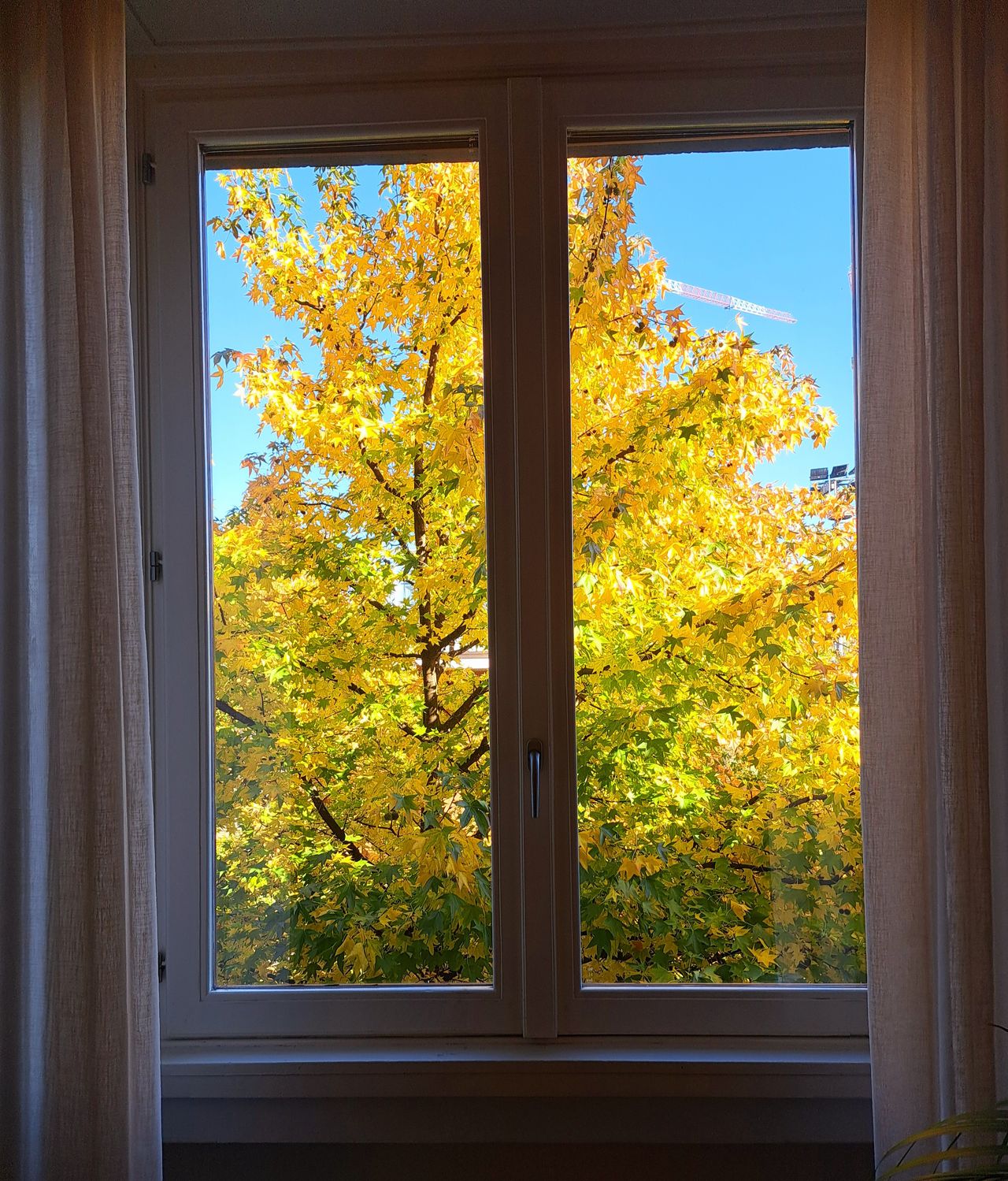 Alessandra Petrini-6