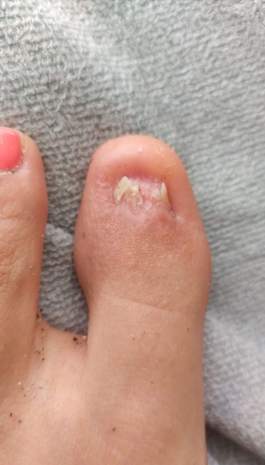 Kassandra Nicolosi-317