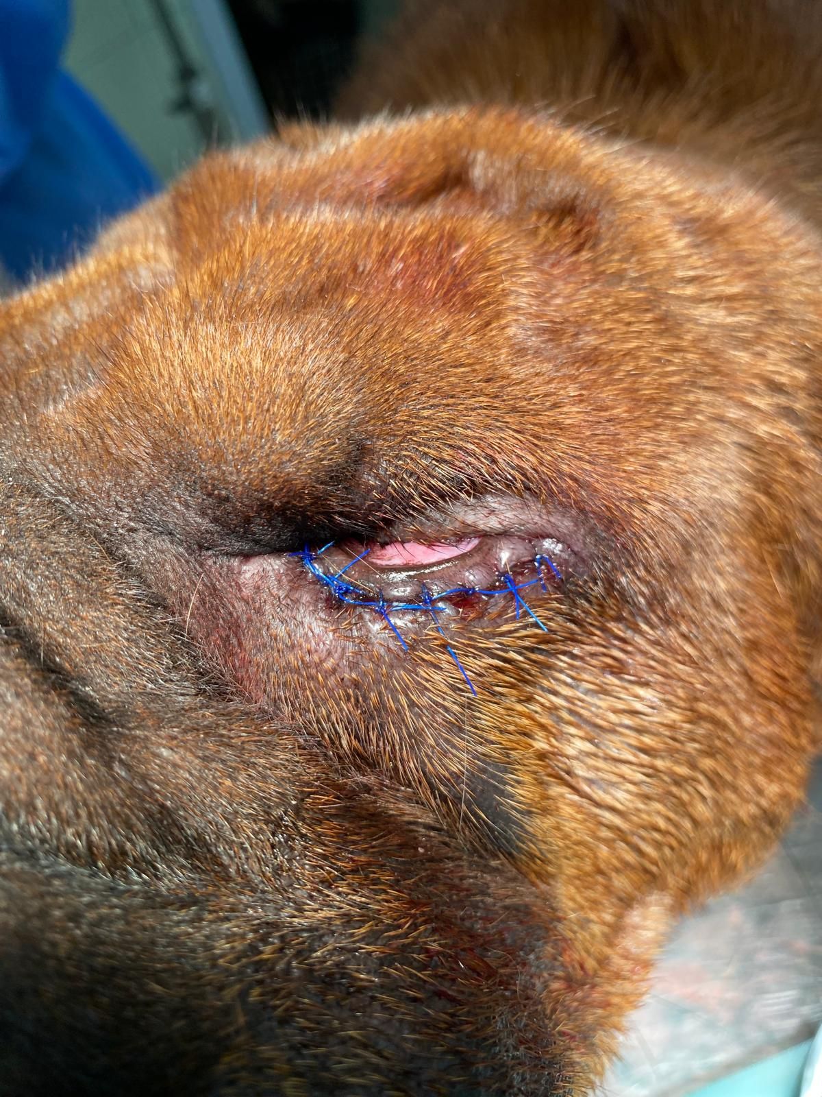 Radosław Fedaczyński-42