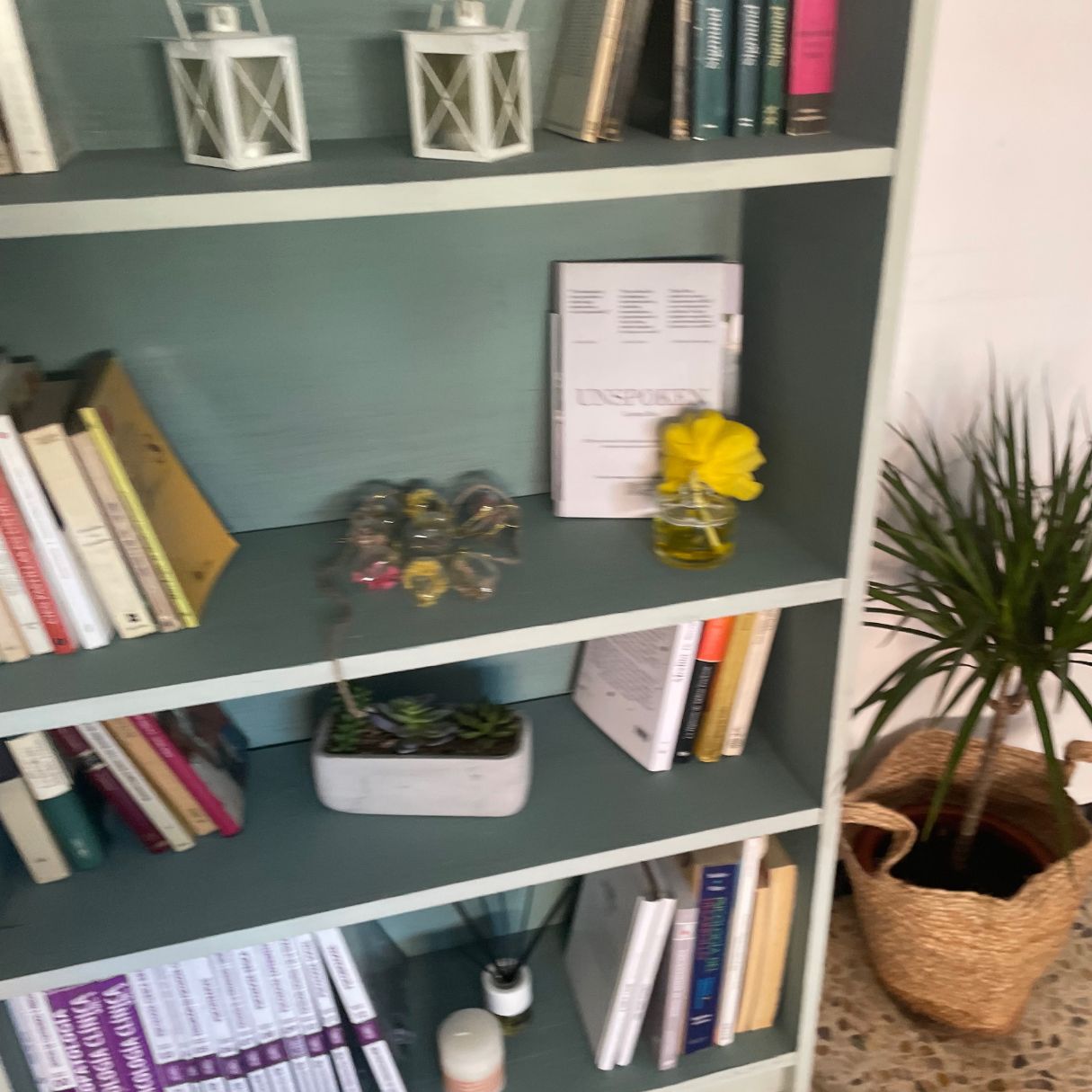 Patricia Gutiérrez Isla-7