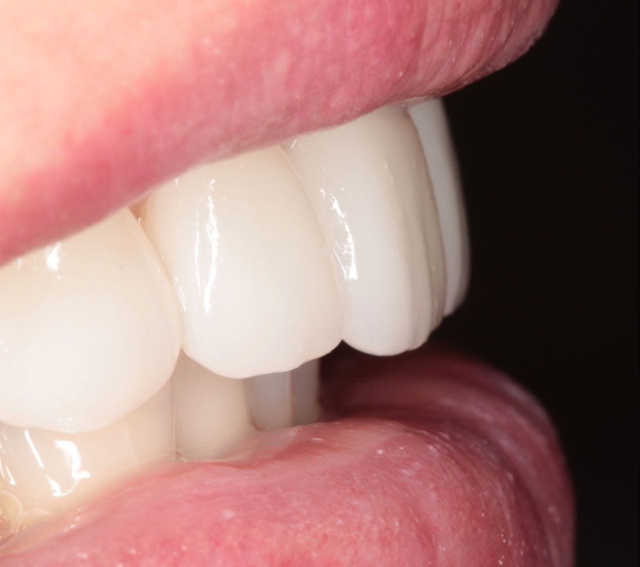 Elżbieta Zalewska-4