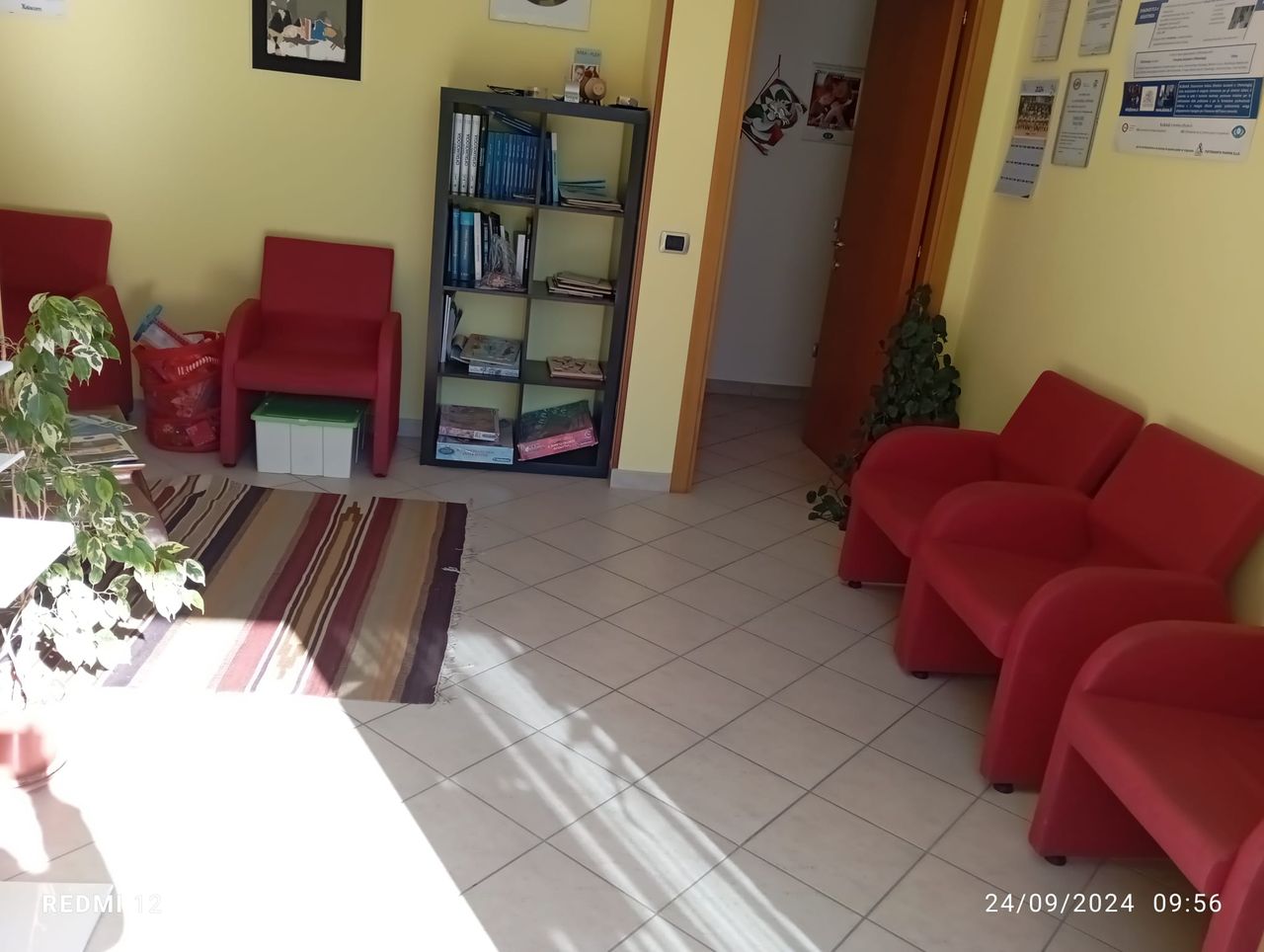 Stefano Ciuccarelli-5