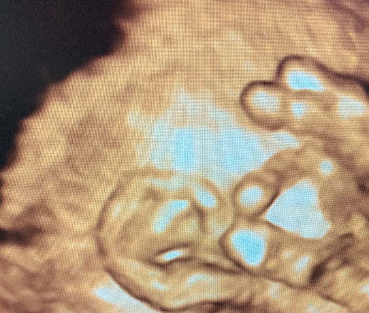 Andrzej Kałamacki-32