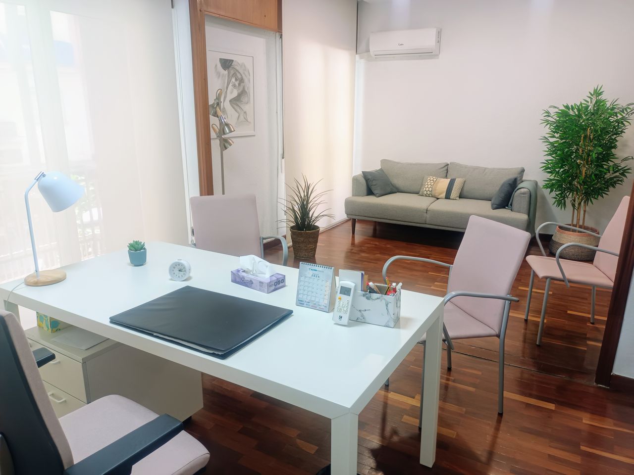 Laura Saura Miranda-1