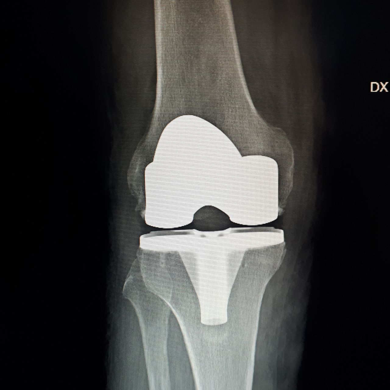 Alessandro Mondaini-0