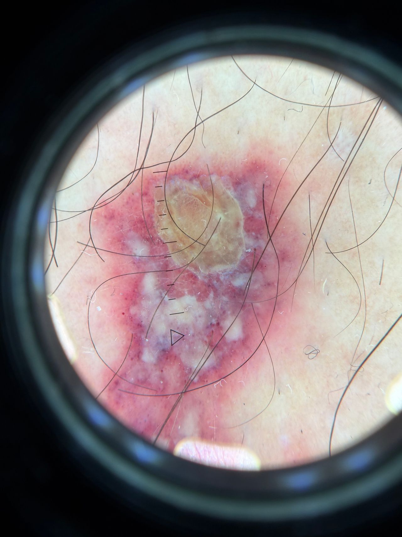 Francesca Paola Sasso-0