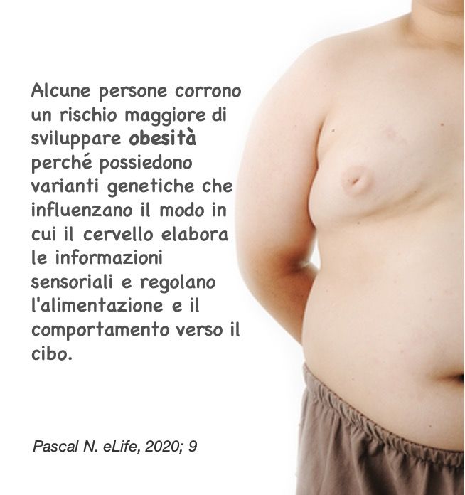 Ruggiero Francavilla-8