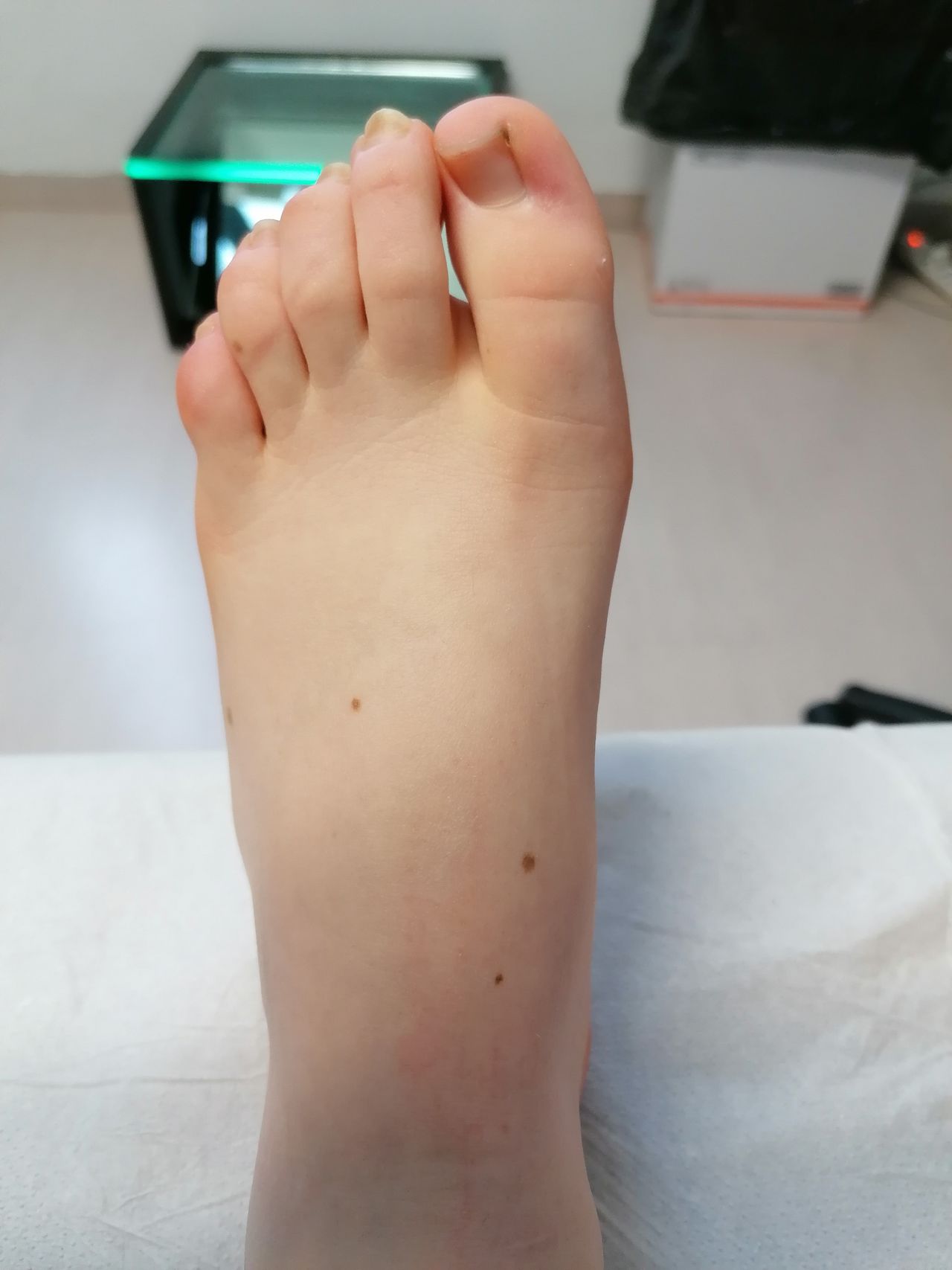 Kassandra Nicolosi-344