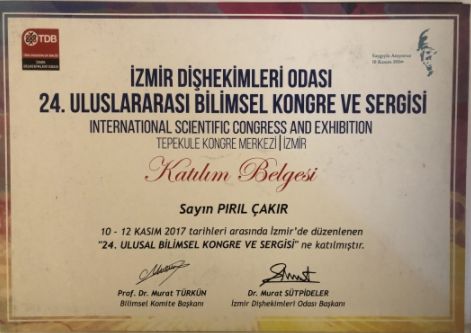 Pırıl Çakır-4