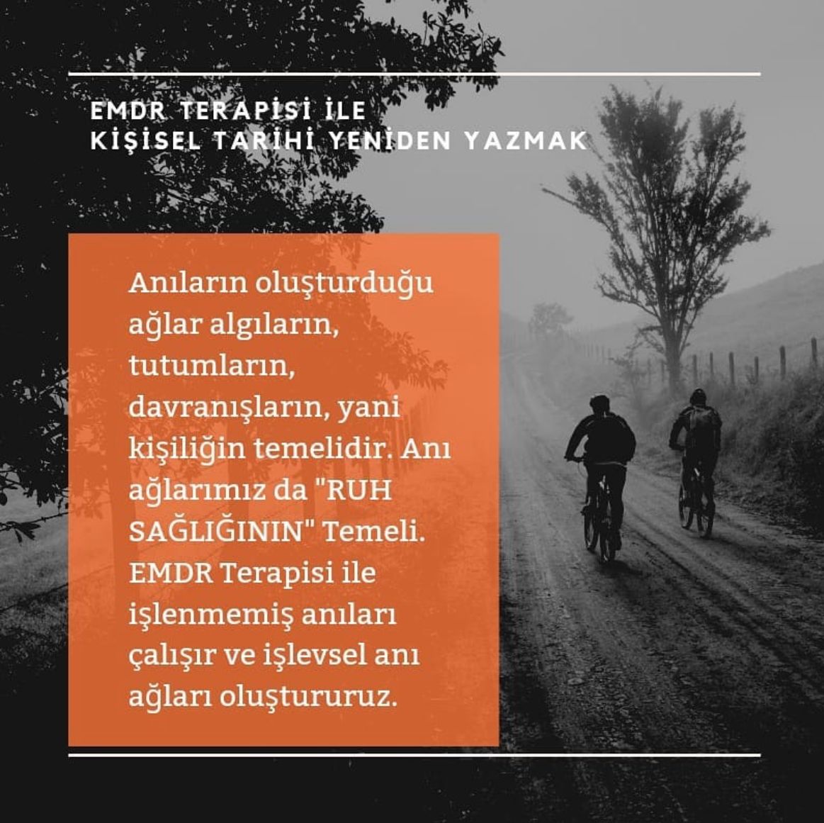 Pınar Soysev Türen-4