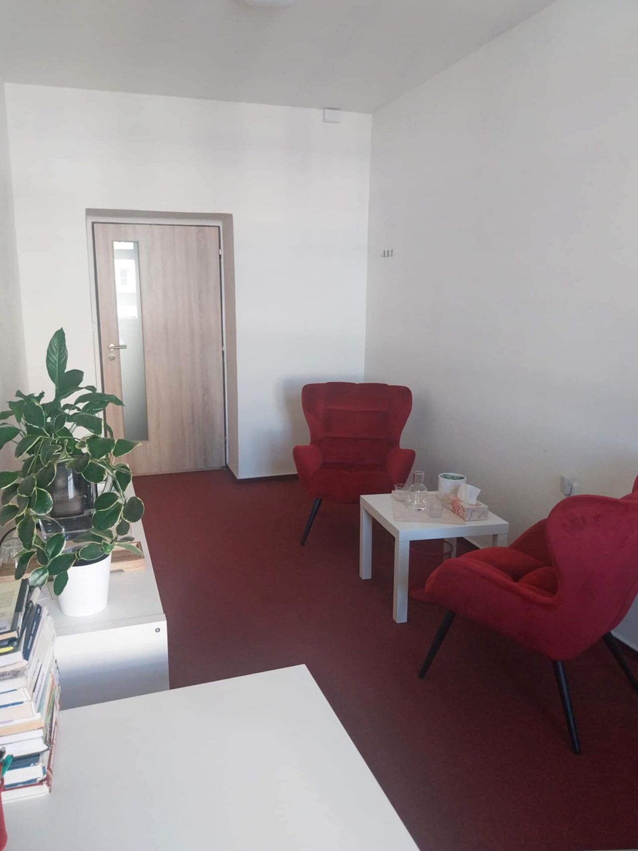 Jana Kotoučková, Dis.-0