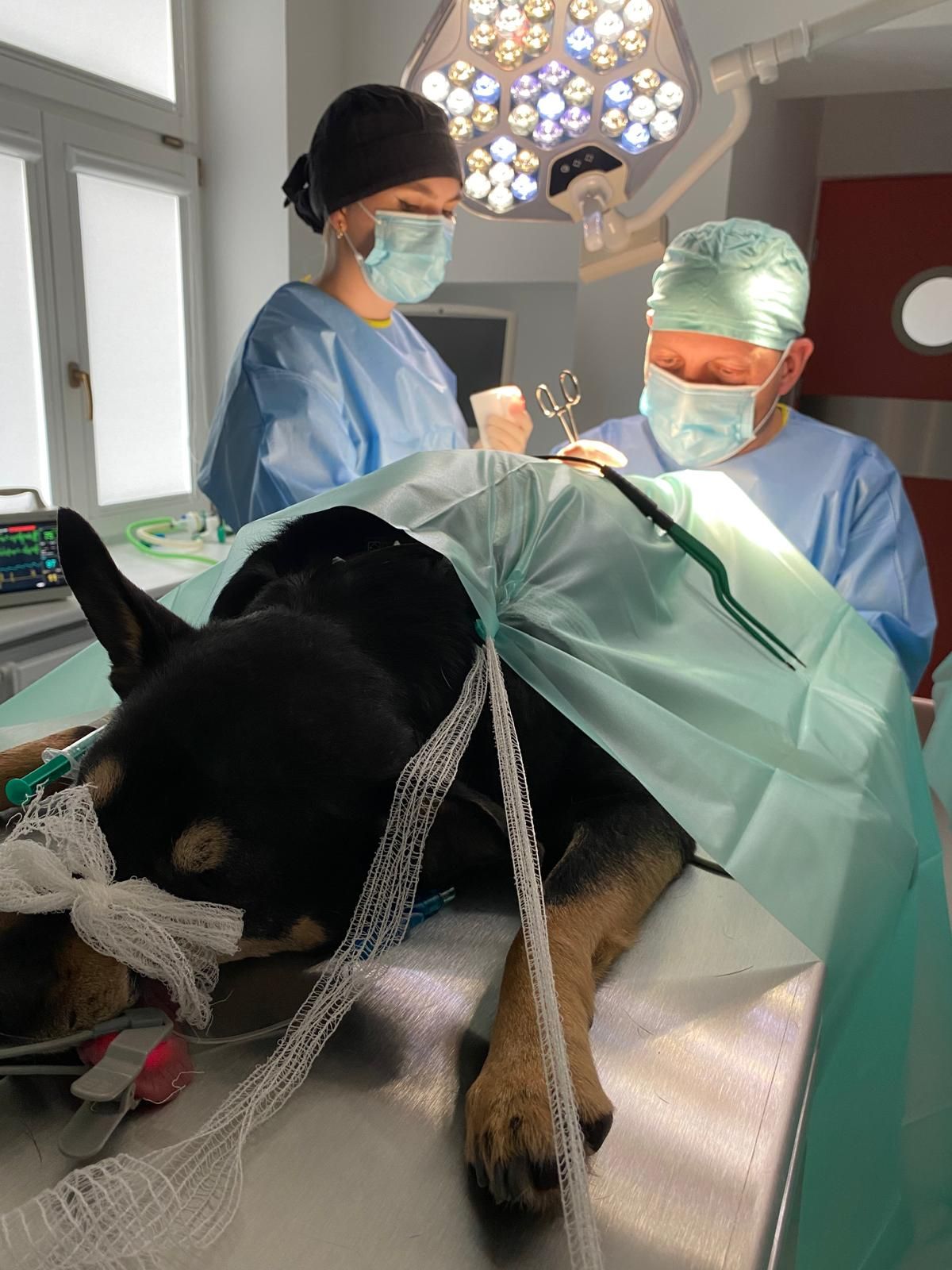 Radosław Fedaczyński-31