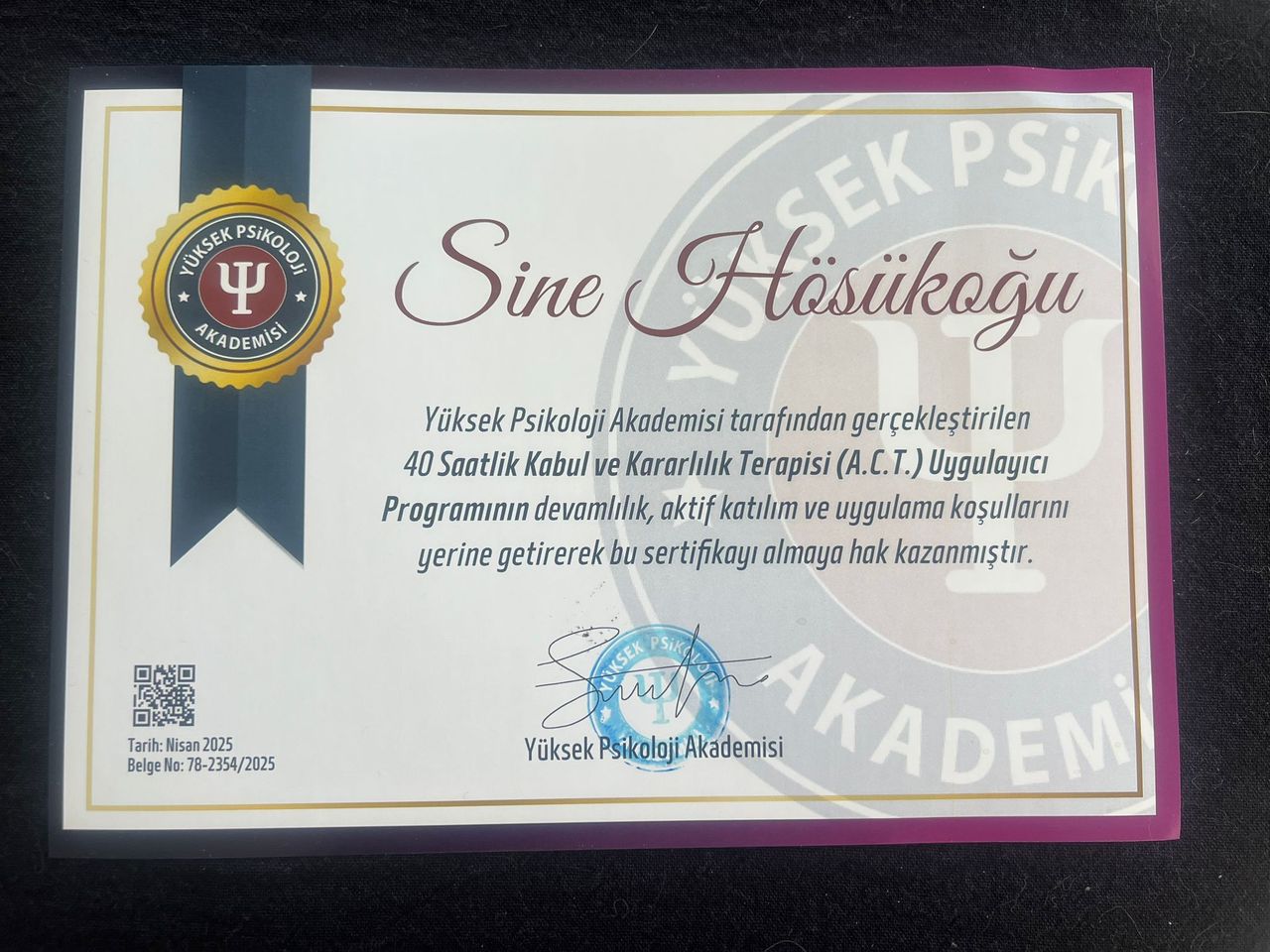 Sine Hösükoğlu-3