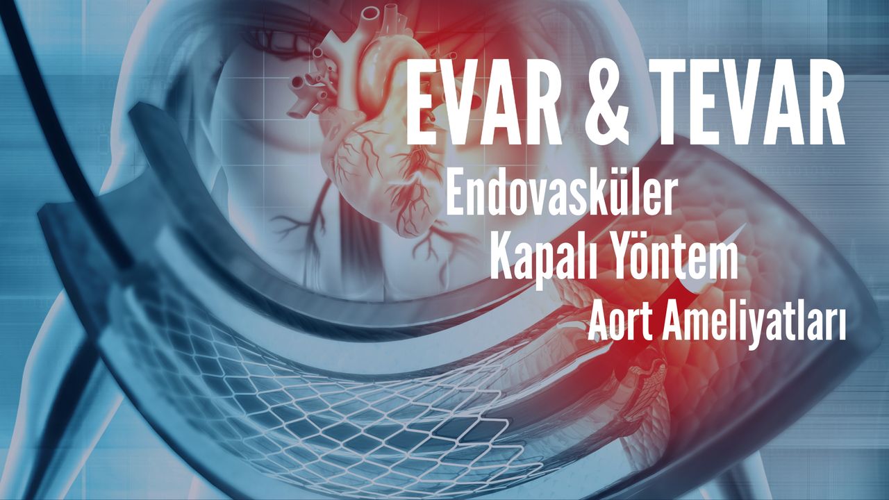 Tayfun Aybek-1