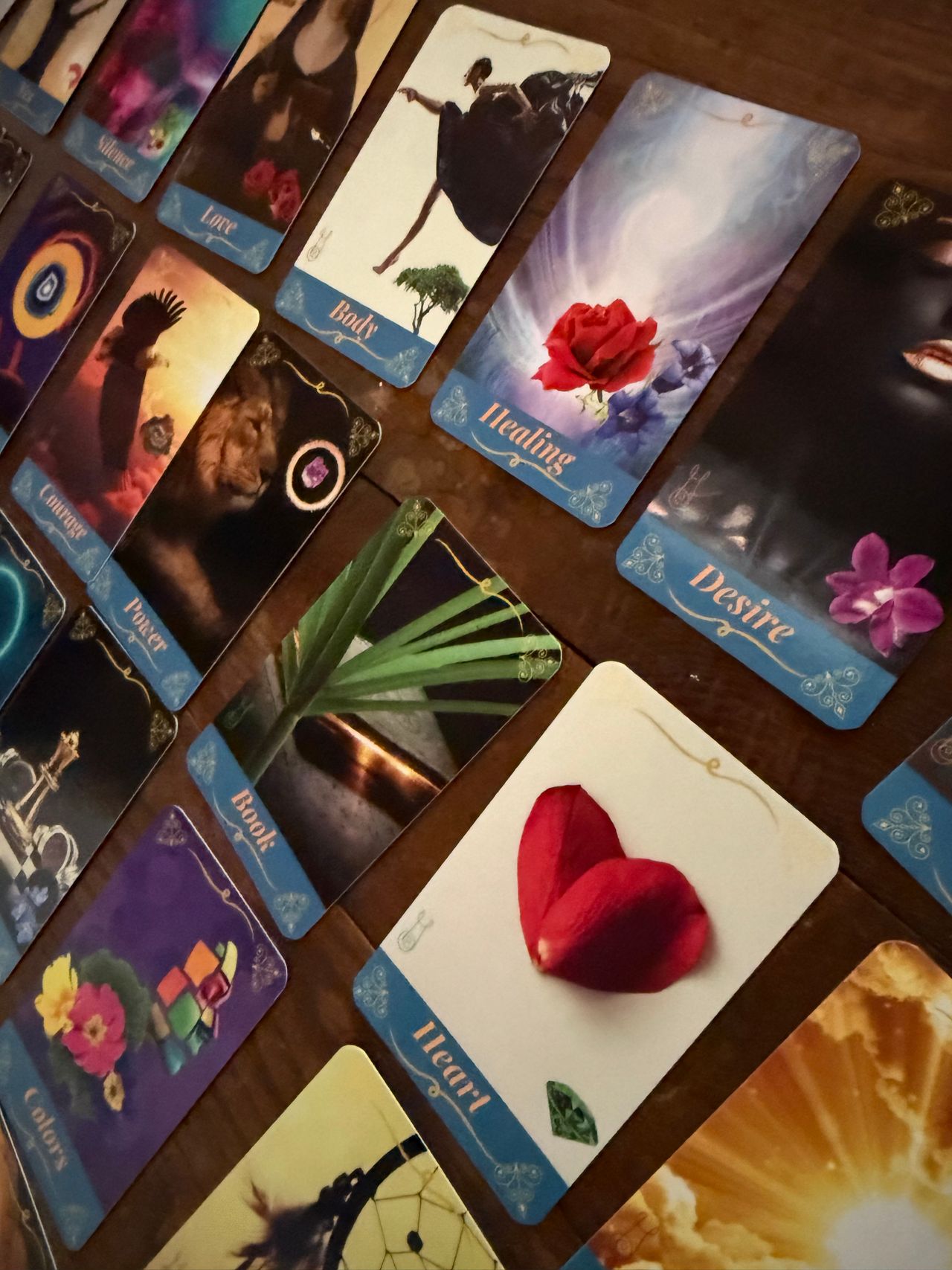 Giovanna Maria Gatti-25