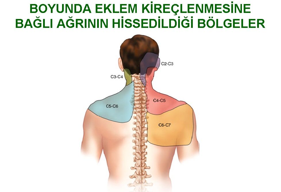 Mehmet Arif Yeğin-2