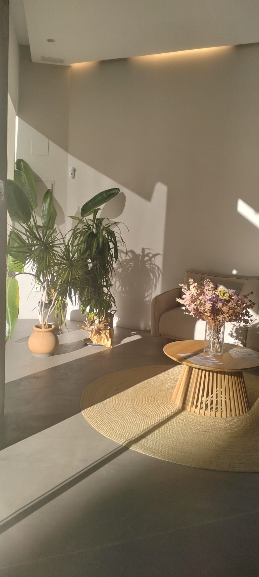 Julia Morejón Ferrer-2