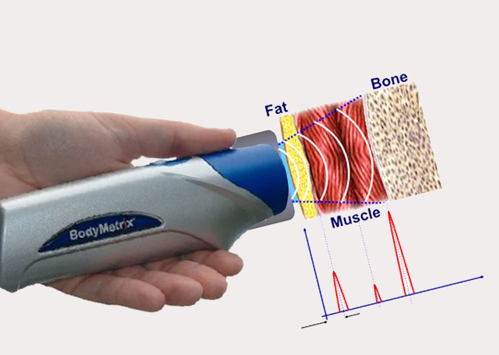 Claudia Colombarini-1