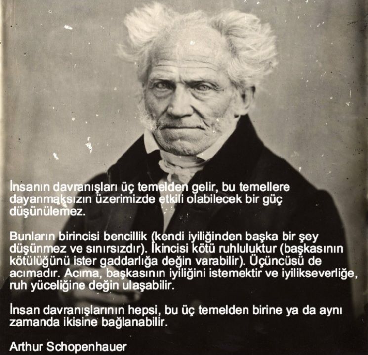 Ayşen Betül Okat-45