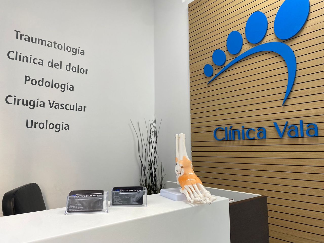 Angélica Villamizar-1