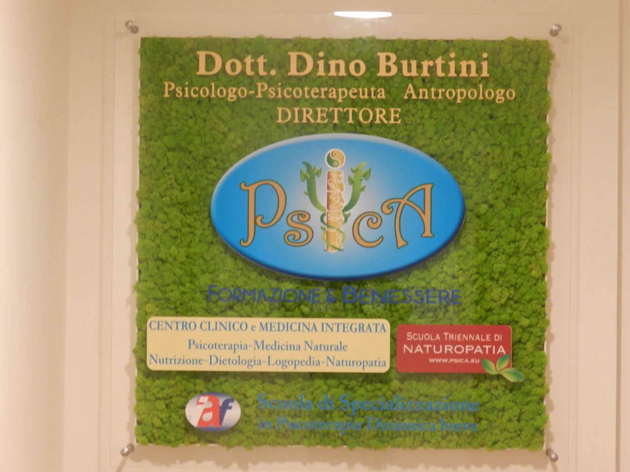 Dino Burtini-1