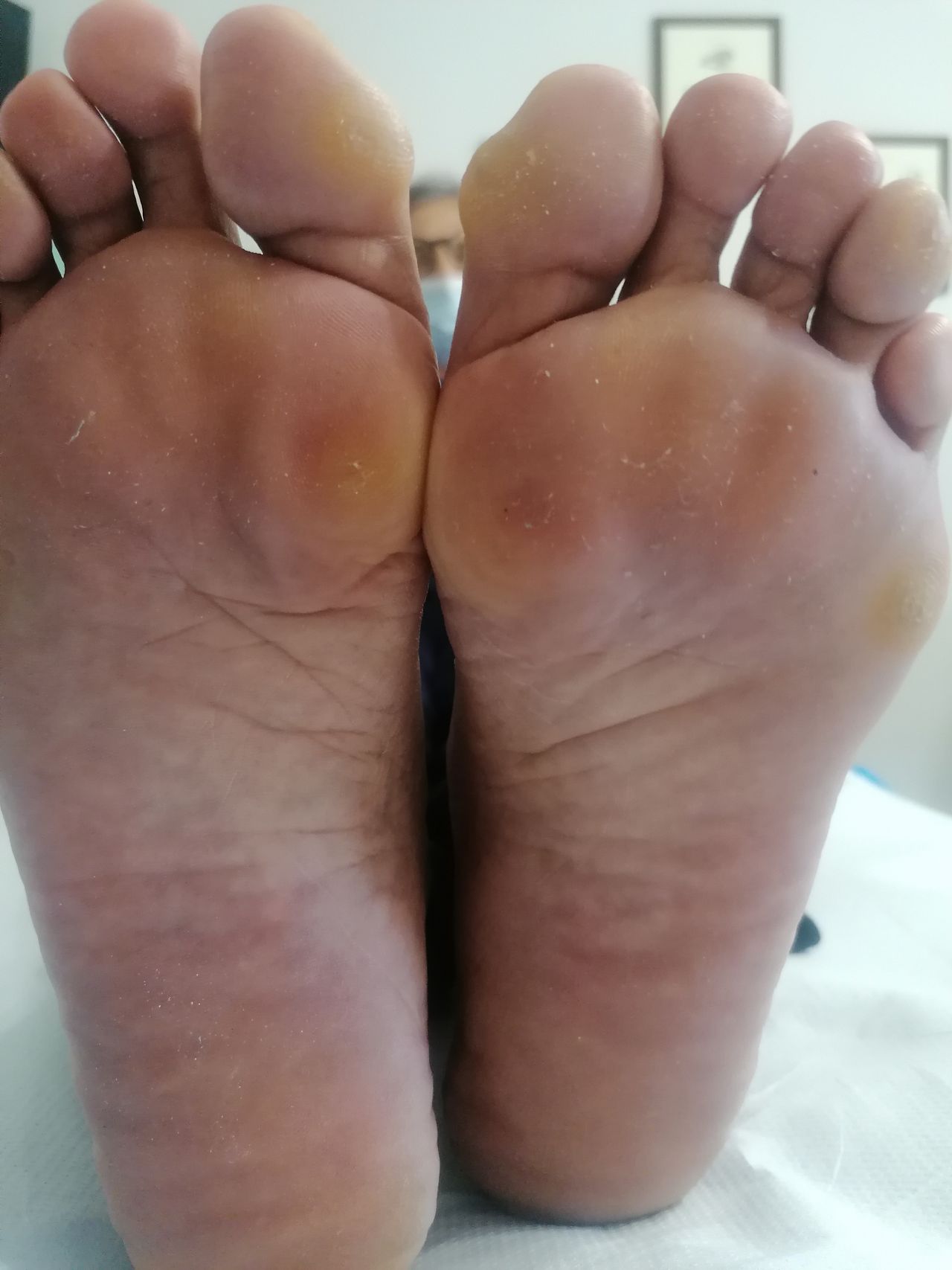 Kassandra Nicolosi-343