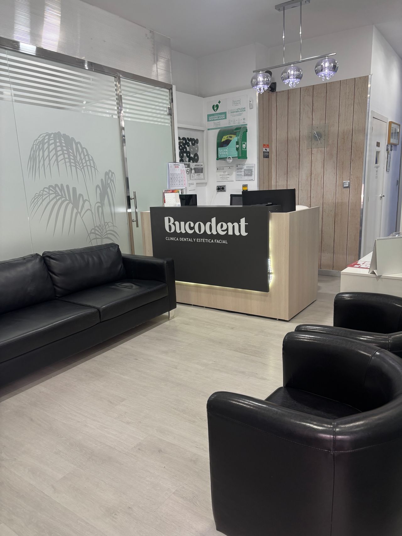 Alejandra Saez Garcia-8