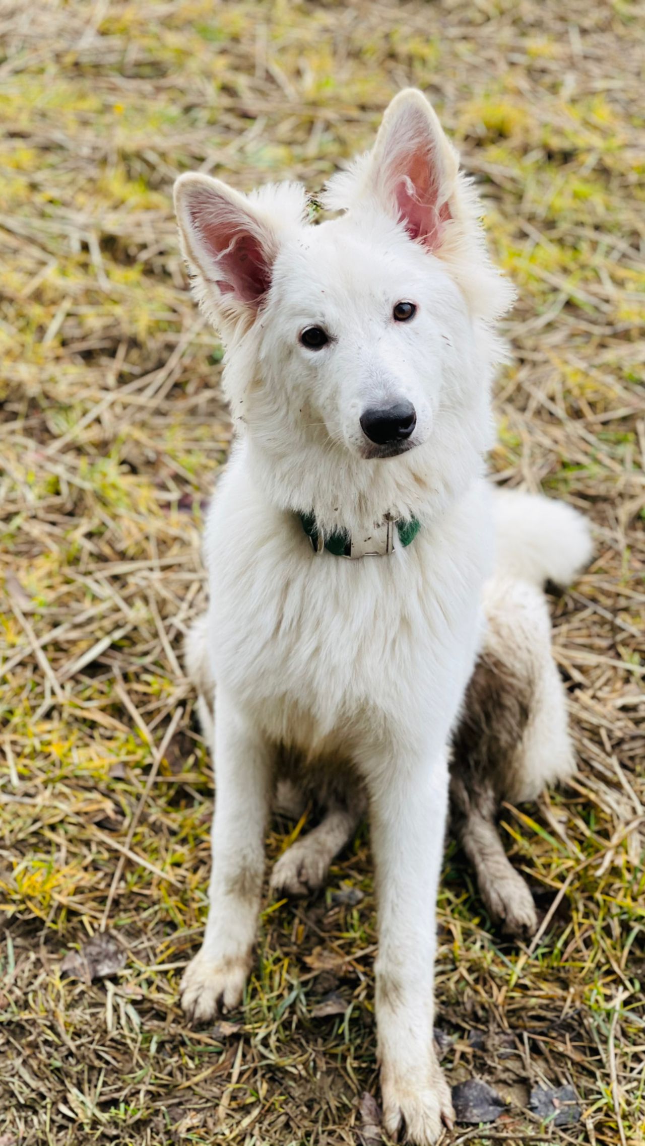 Terra Kasal, M. A.-12