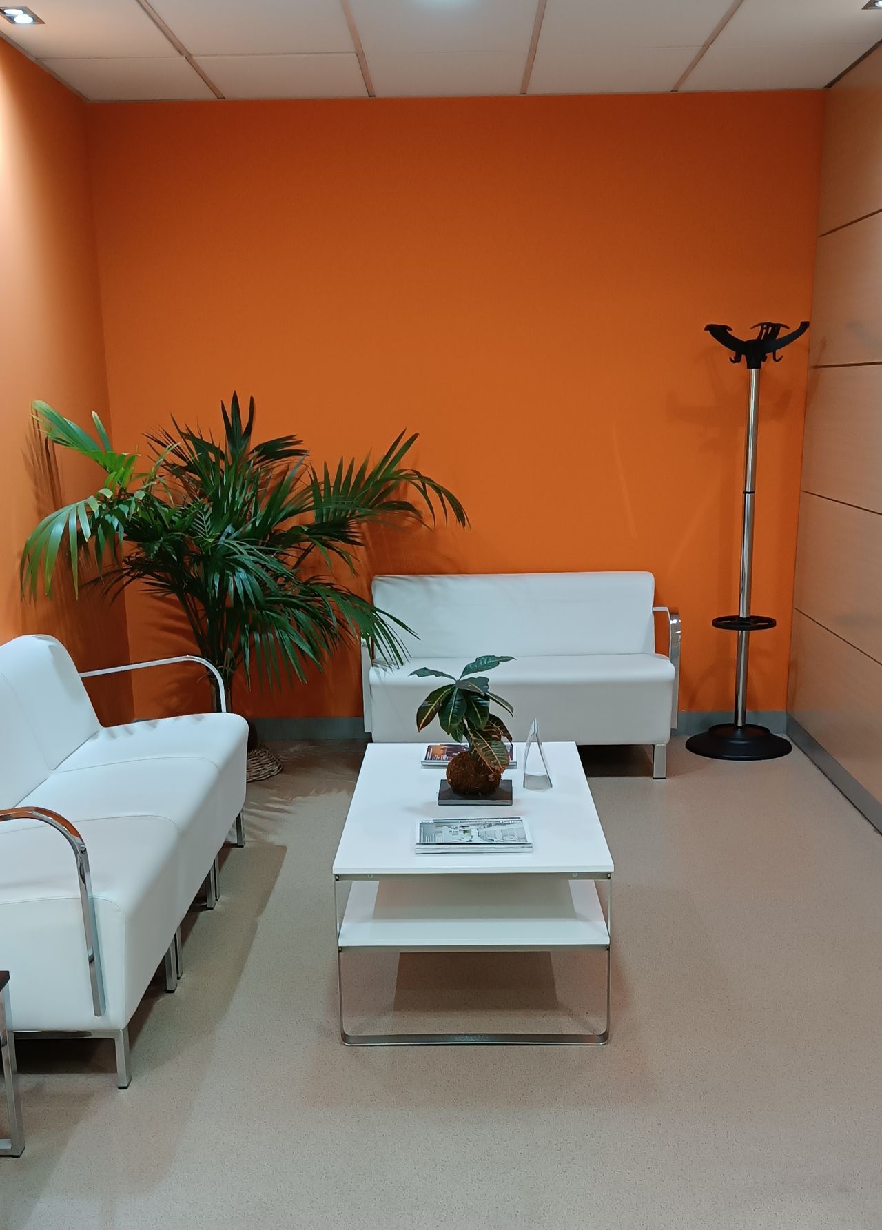 Carmen Paz Alza Millie-9