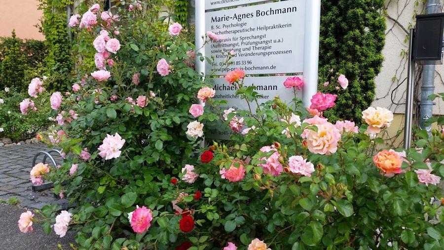 Marie Agnes Bochmann-3