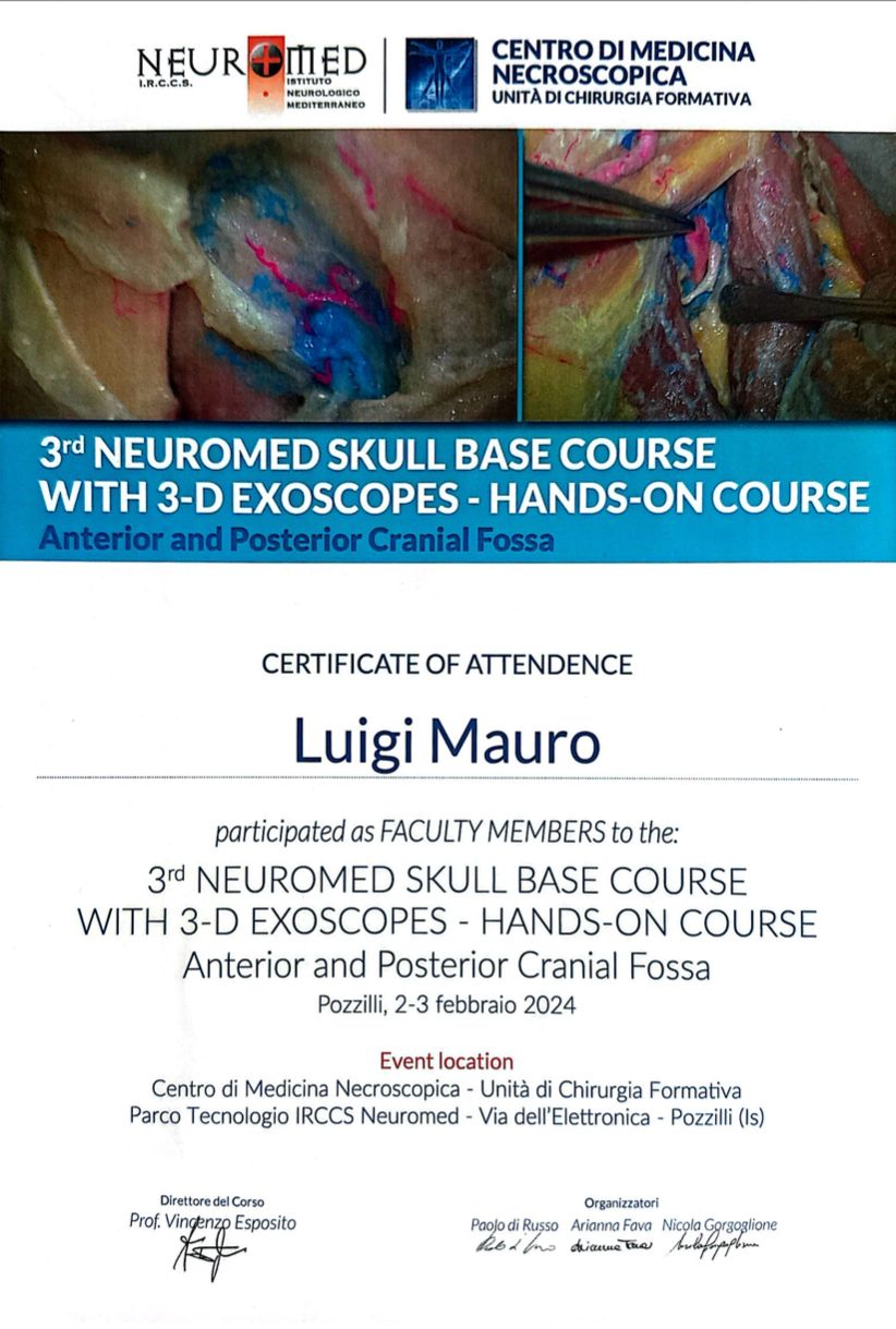 Luigi Mauro-14