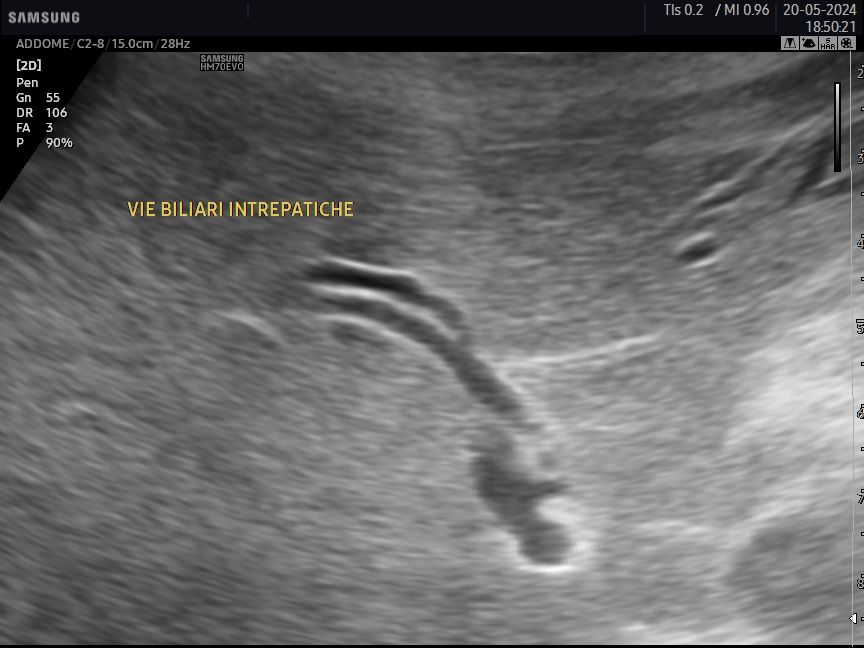 Gianluca Cisternino-17