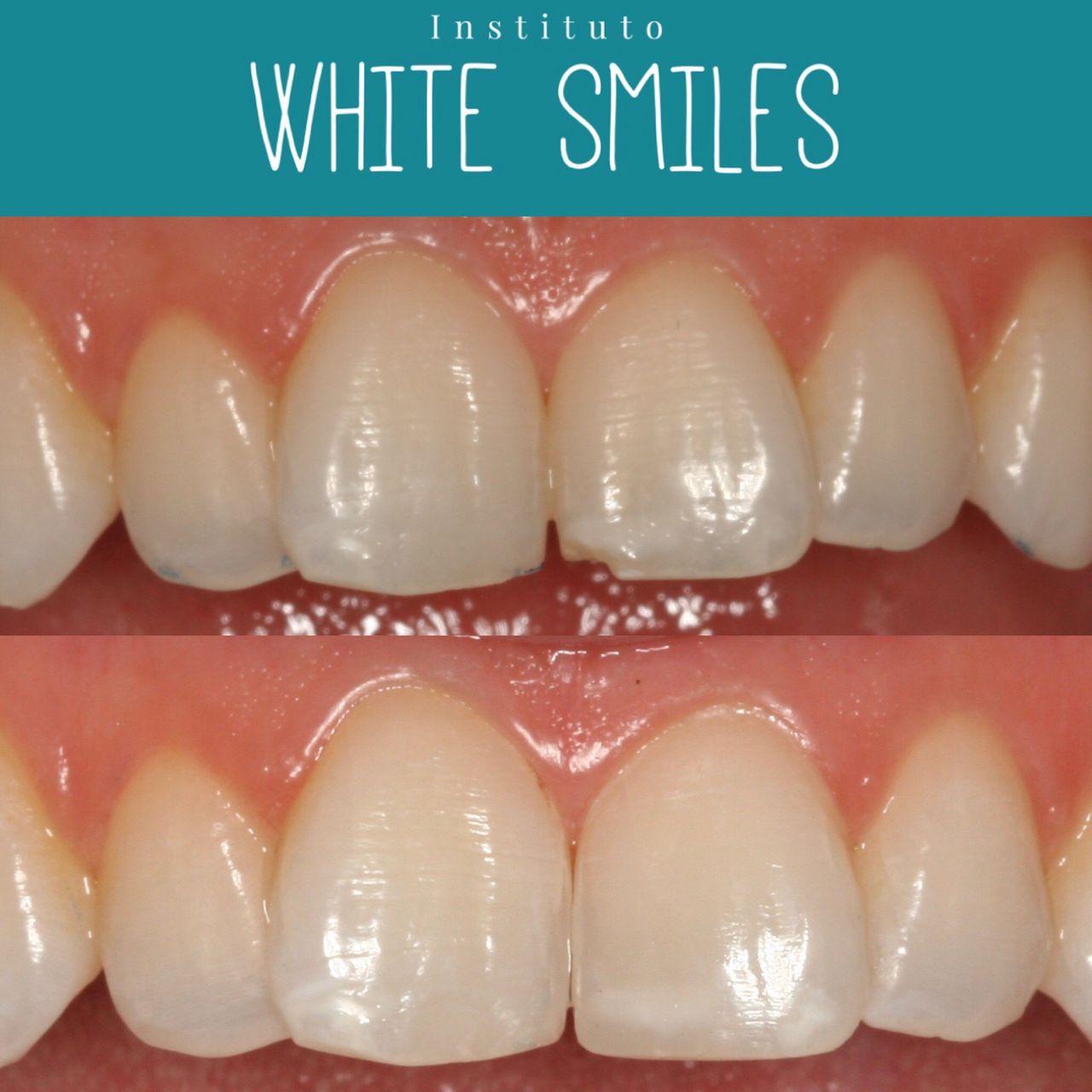 Ana Cabeza Martinez-65