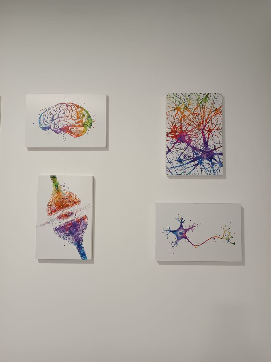 Marta Lledó Romero-6