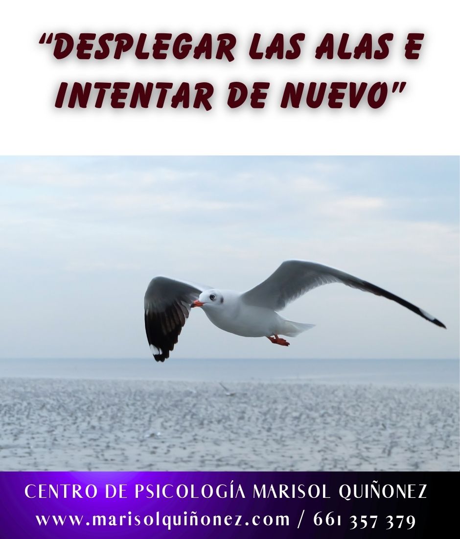 Marisol Quiñonez Quintero-135