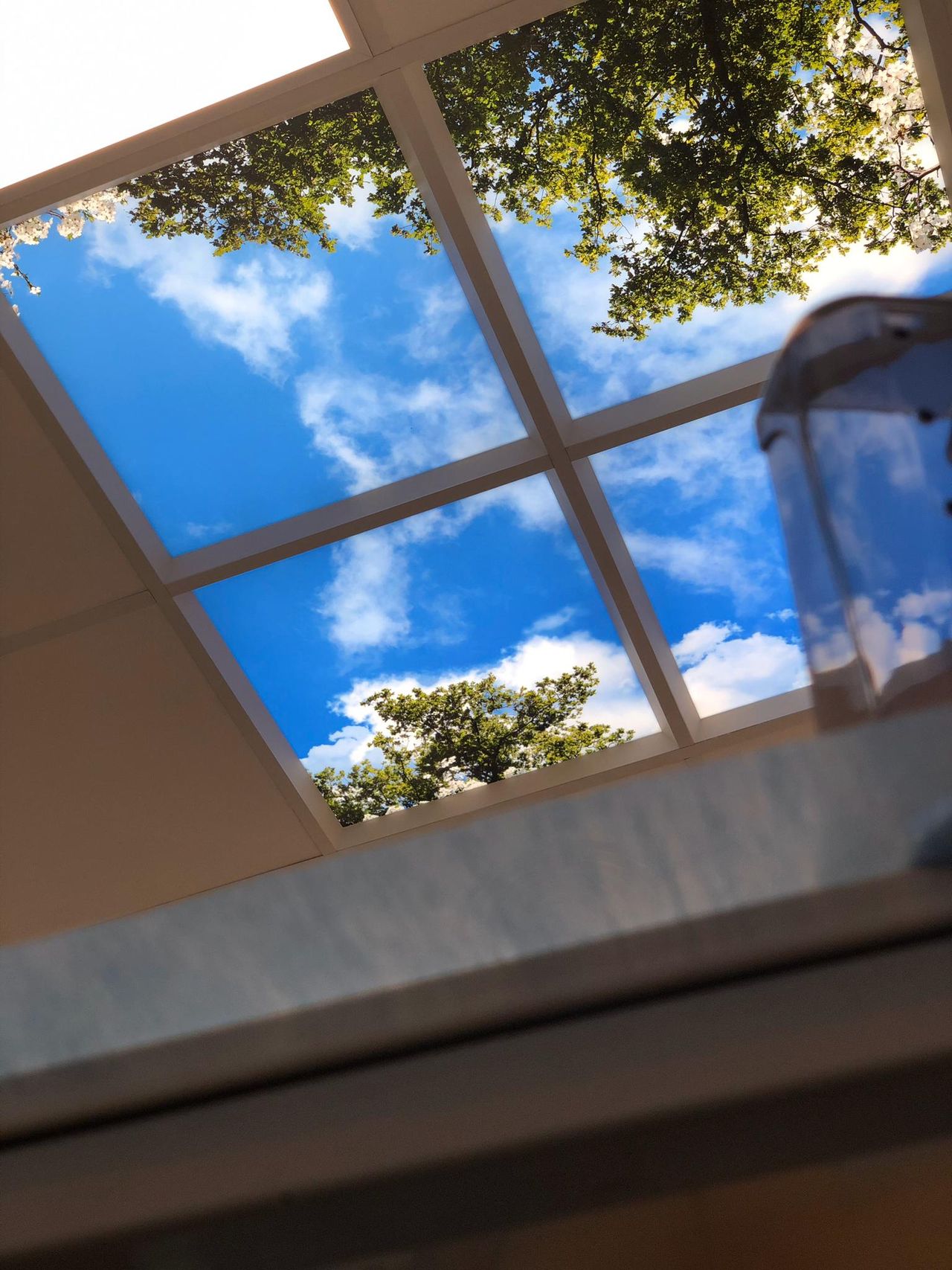 David Macías Moreno-4