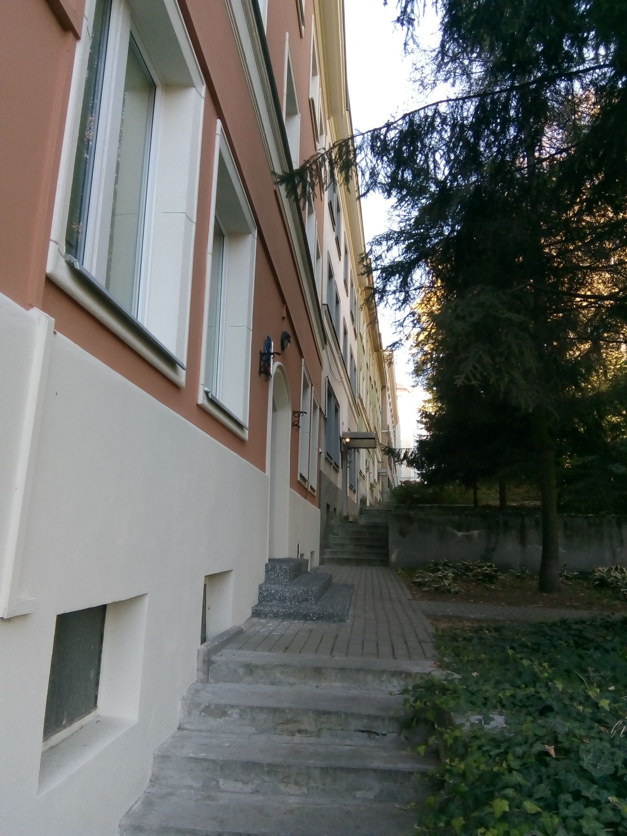 Grzegorz Witkowski-4