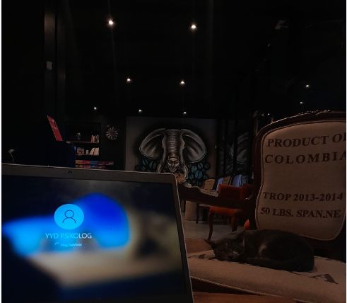 Gül Güler Yılmaz-15