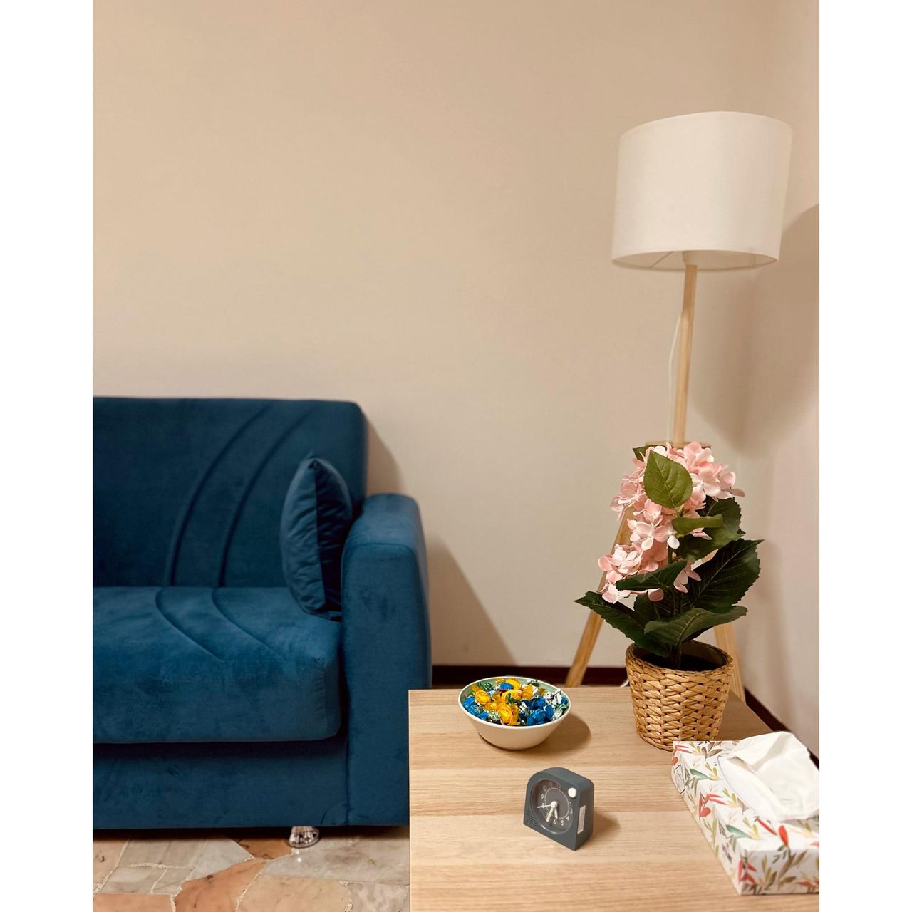 Virginia Armellini-1