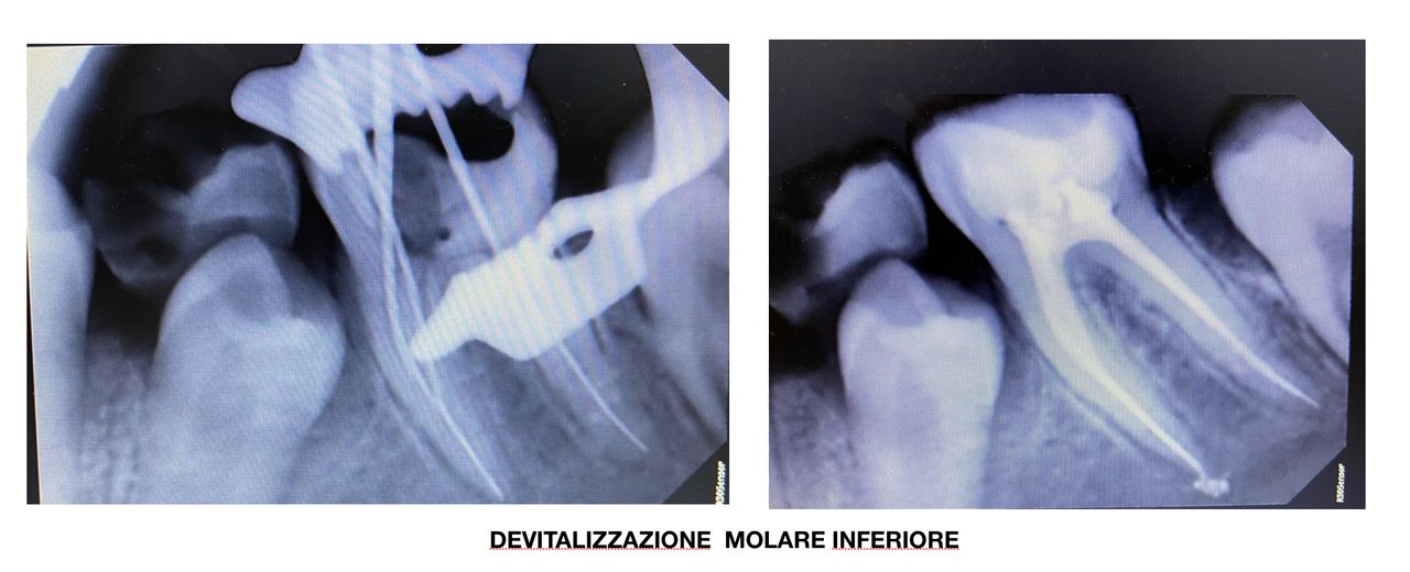 Marianna Cardella-13
