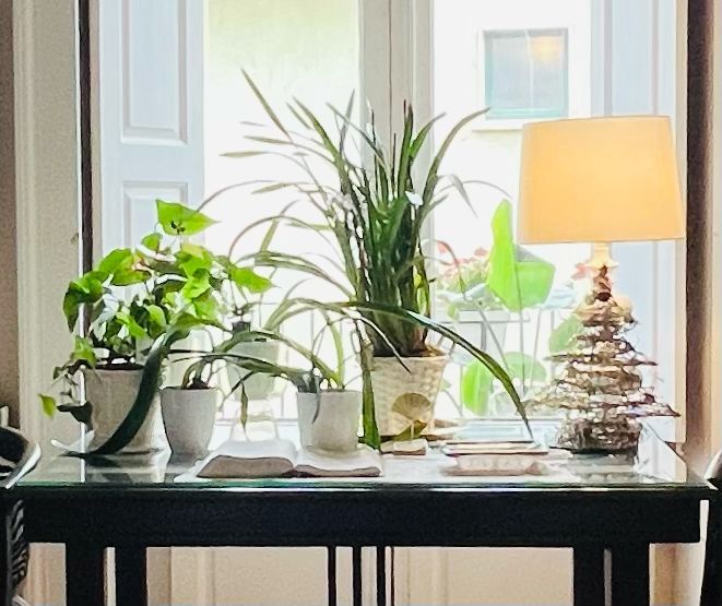 Maria Gabriella Cassia-3