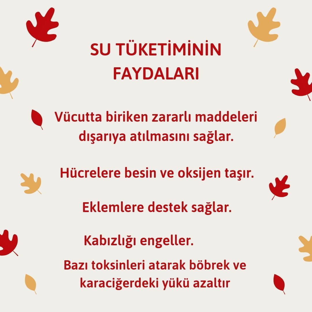 Sernaz Çakır Ercil-0