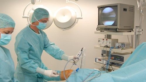 Francisca-Blanca Calinescu-5