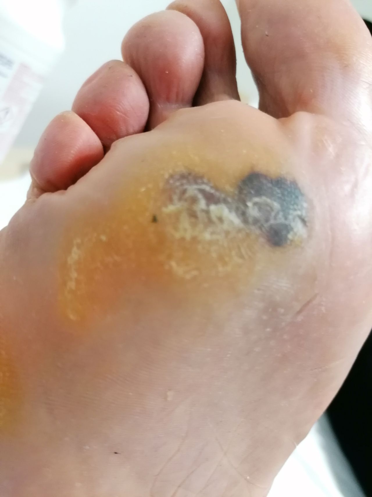 Kassandra Nicolosi-167