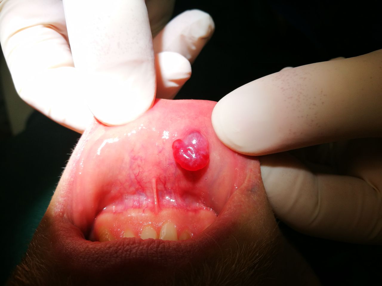 Stefano De Simone-13