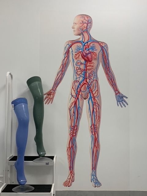 Joanna Olszewska-Roczniak-3