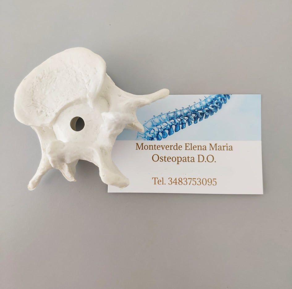 Elena Maria Monteverde-1